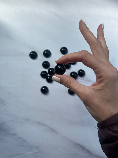 OMBLIGUERA OBSIDIANA