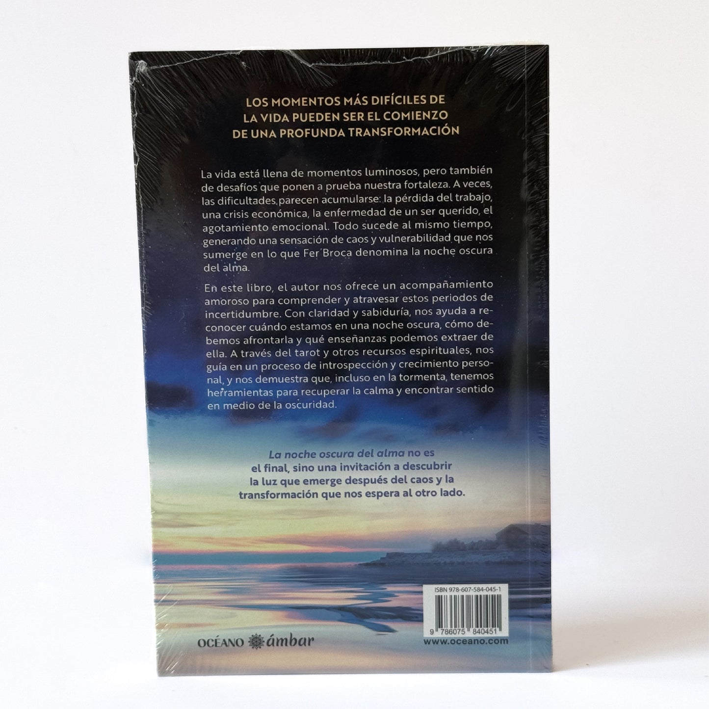 LIBRO: LA NOCHE OSCURA DEL ALMA