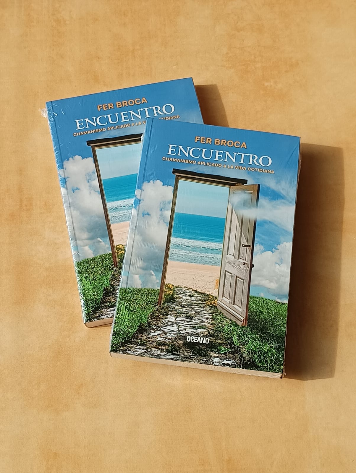 LIBRO: ENCUENTRO