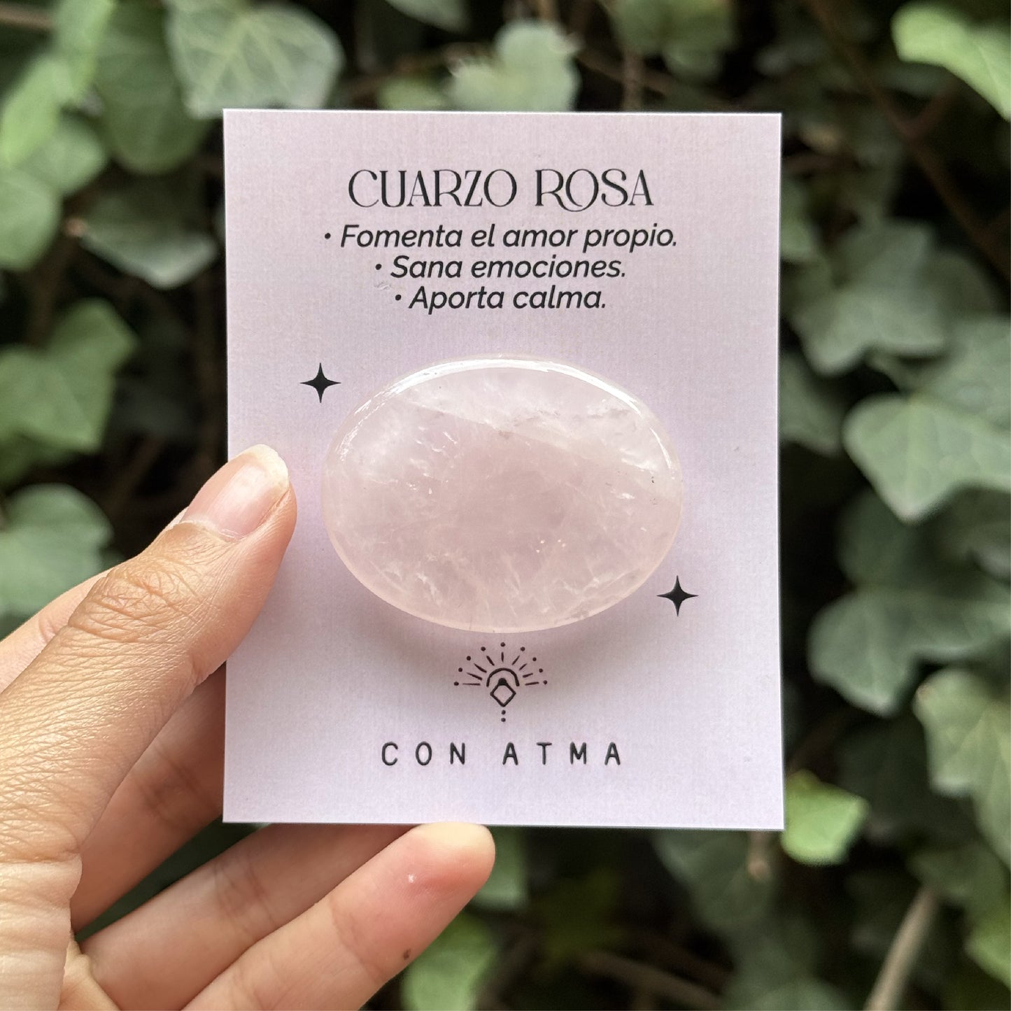 PIEDRAS DE PREOCUPACIÓN
